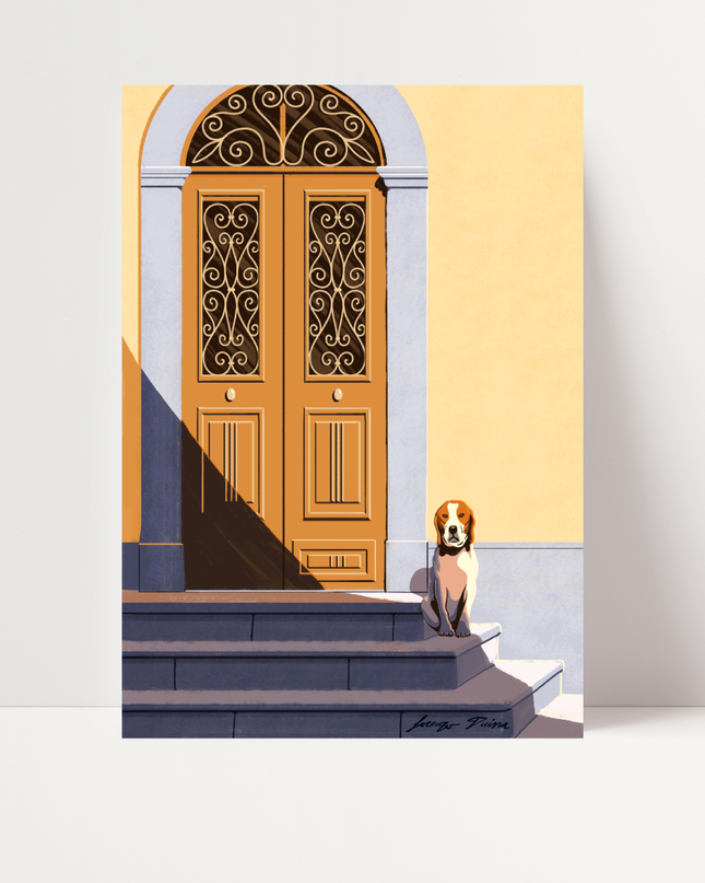 Argo, di Lorenzo Duina