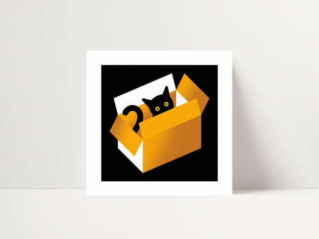 Cat in a box, di Andrea Manzati