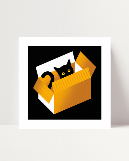Cat in a box, di Andrea Manzati