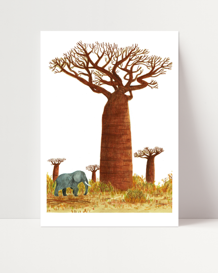 Baobab, di Irene Penazzi - Stampa fine art