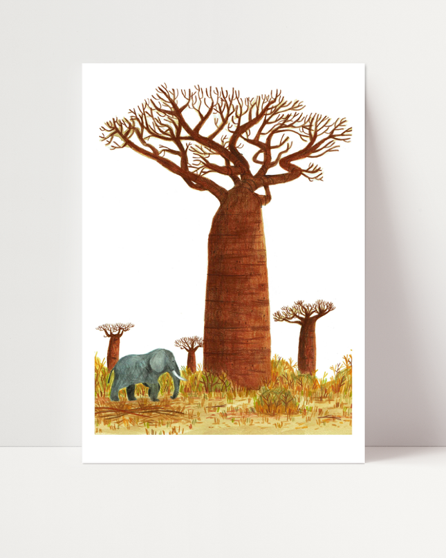 Baobab, di Irene Penazzi - Stampa fine art