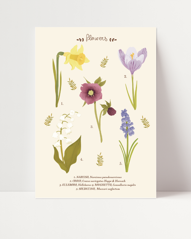Flowers, di Carlotta Zanettini