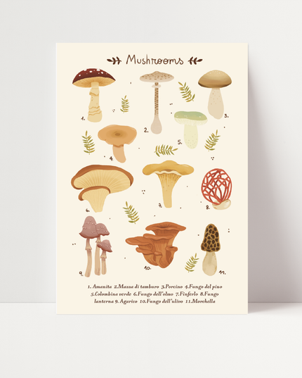 Mushrooms, di Carlotta Zanettini