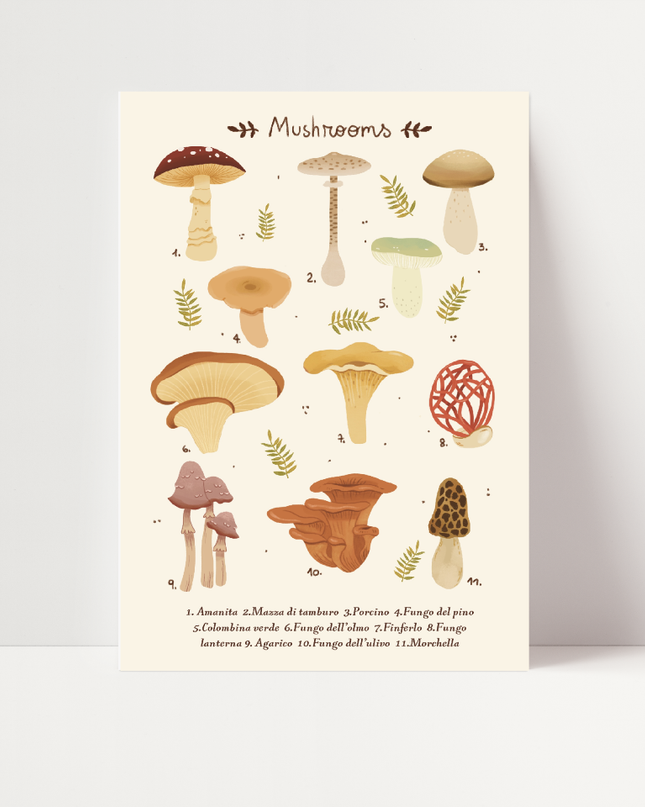 Mushrooms, di Carlotta Zanettini