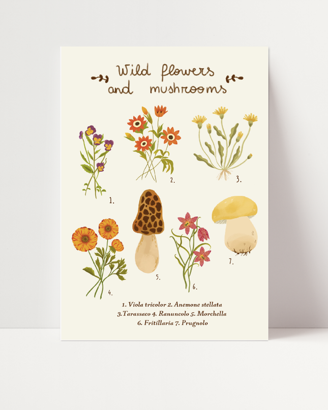 Wild flowers and mushrooms, di Carlotta Zanettini