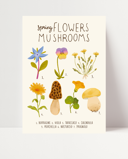 Spring Flowers and Mushrooms, di Carlotta Zanettini
