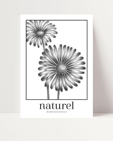 naturel 02, di Rossana Cinello