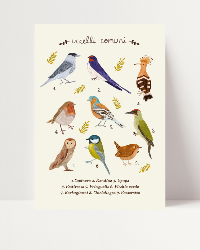 Uccelli comuni, di Carlotta Zanettini