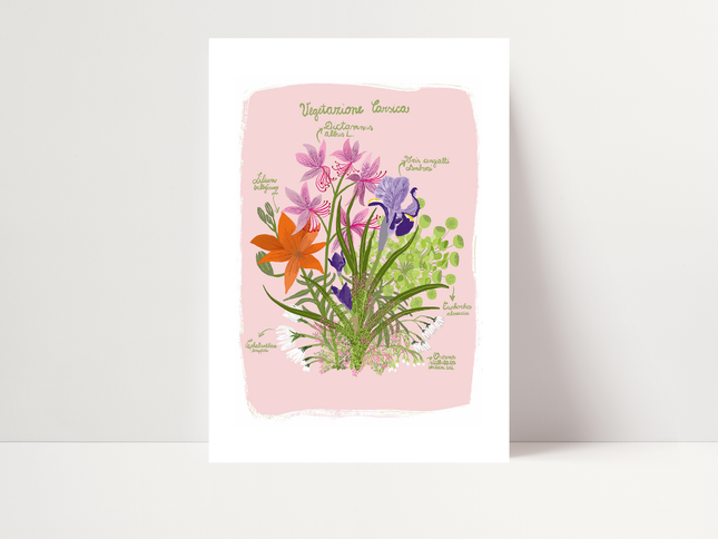 Vegetazione carsica - rosa, di Dunja Jogan